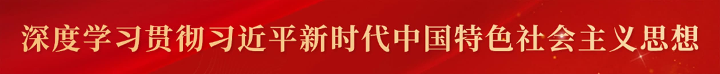 广东省肿瘤康复学会横幅